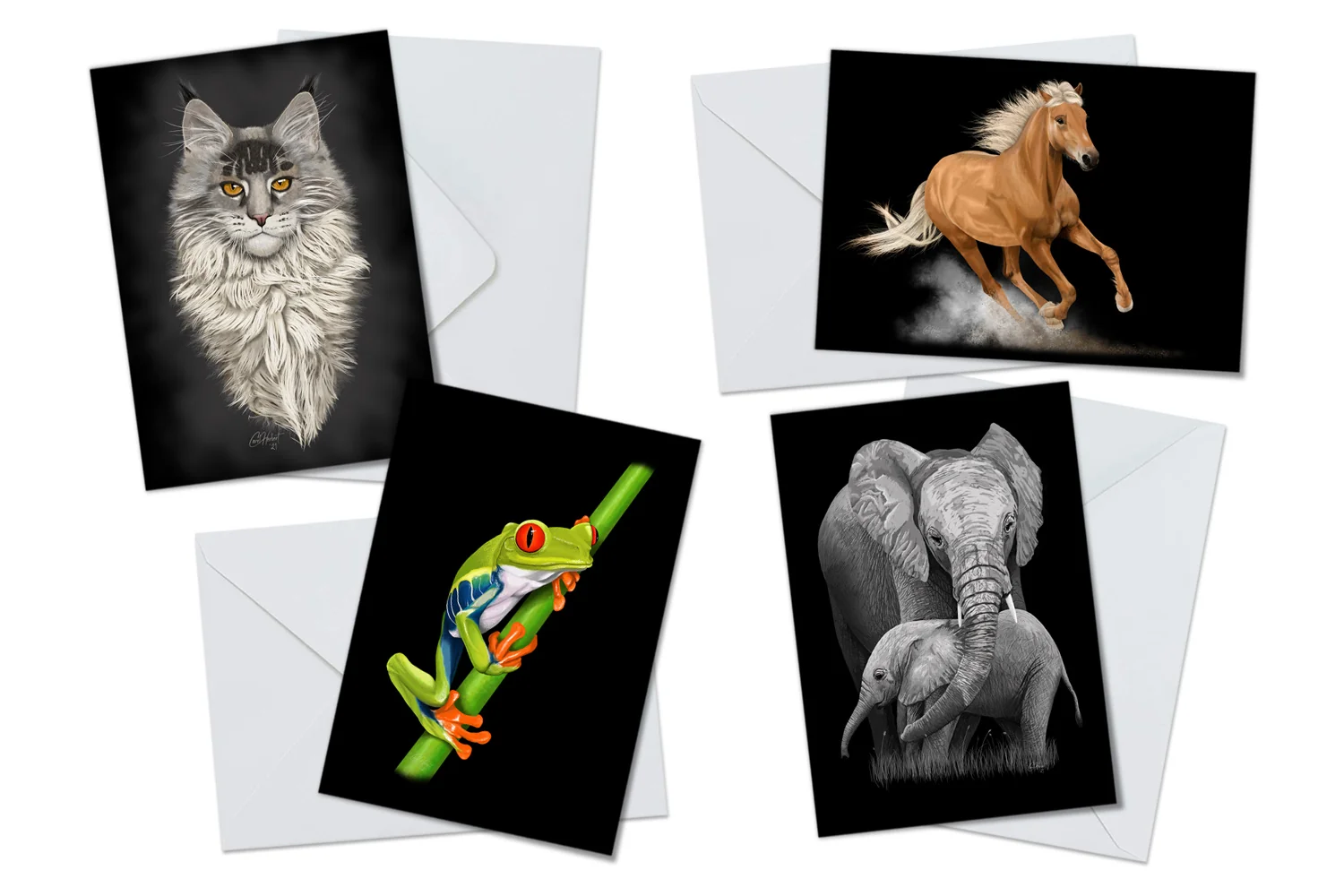 Animal Art Greeting Card Packs Animal Art Greeting Card Packs