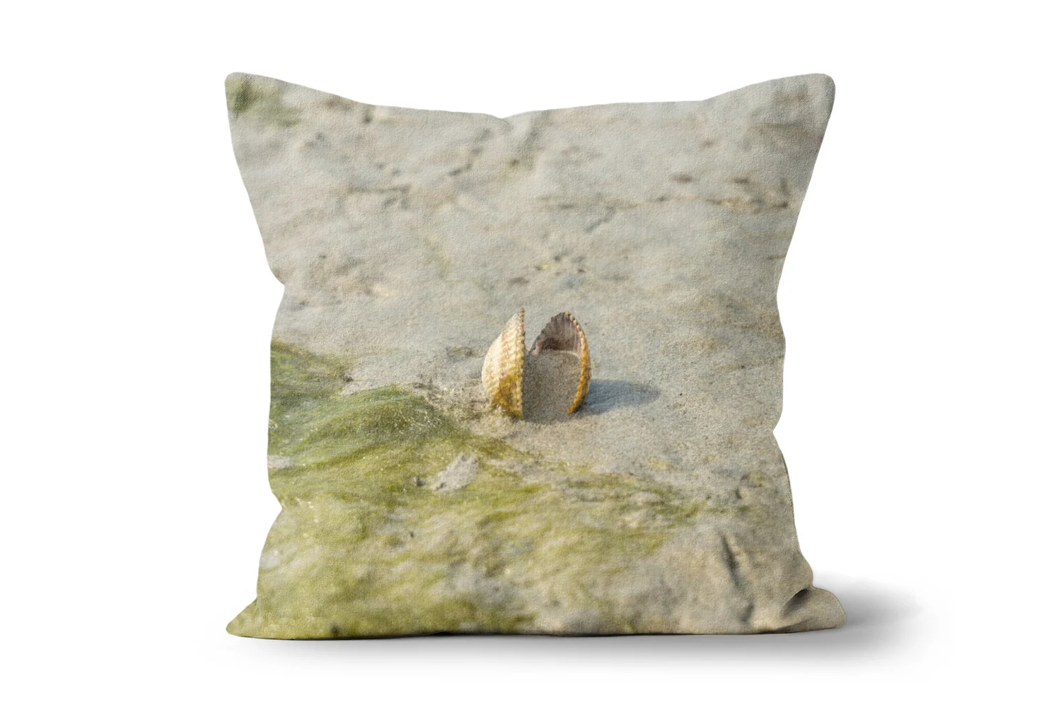 Cockle Beach Square Scatter Cushions Cockle Beach Square Scatter Cushions