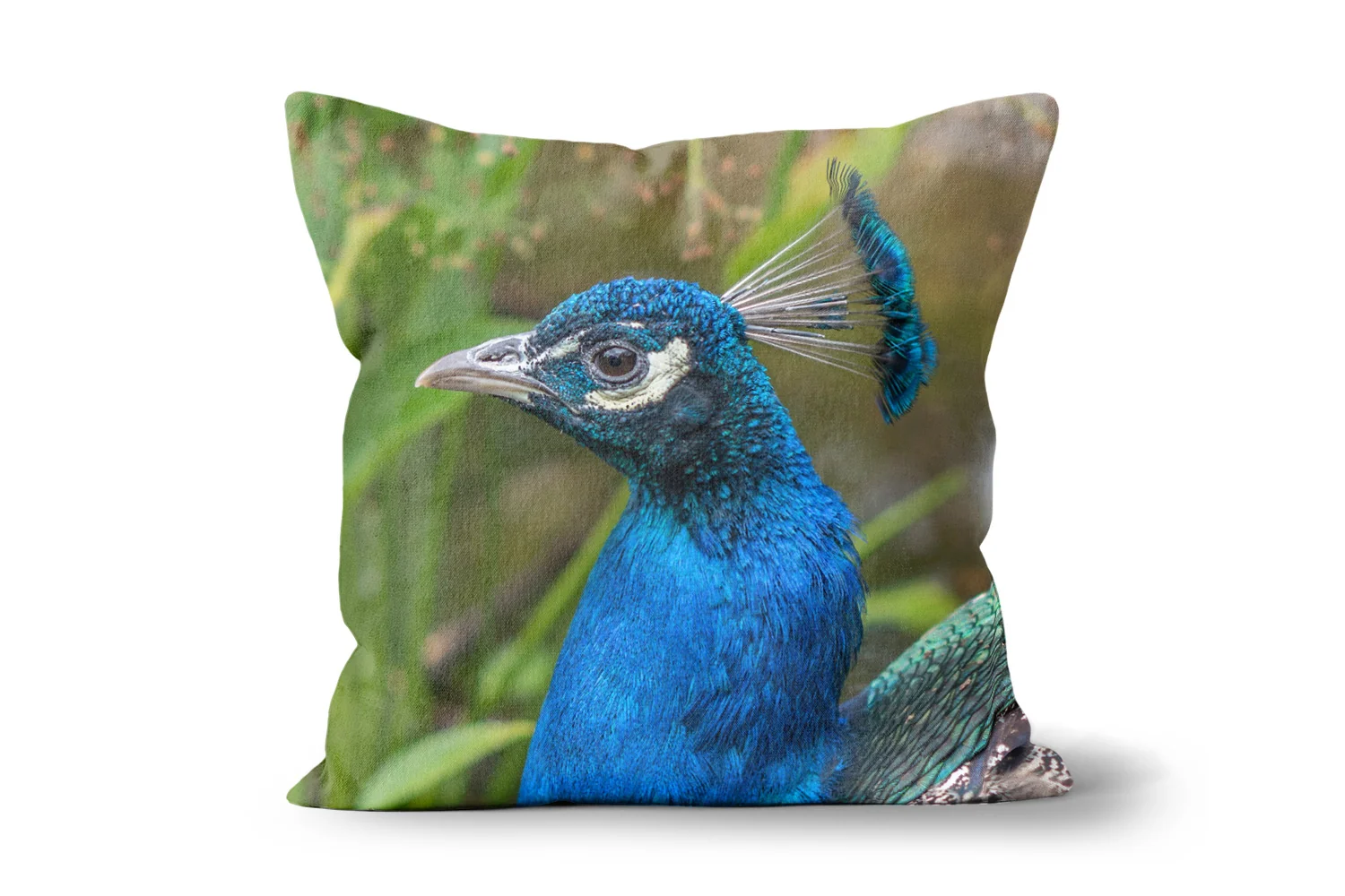 Peacock Square Scatter Cushions Peacock Square Scatter Cushions