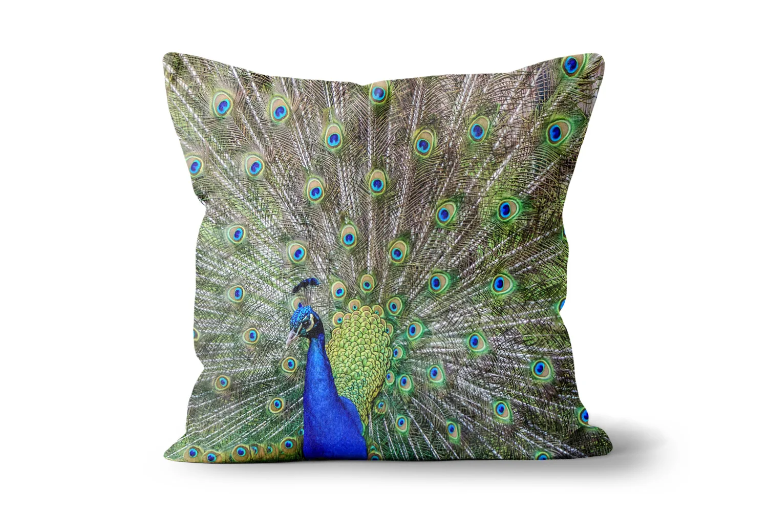 Peacock Square Scatter Cushions