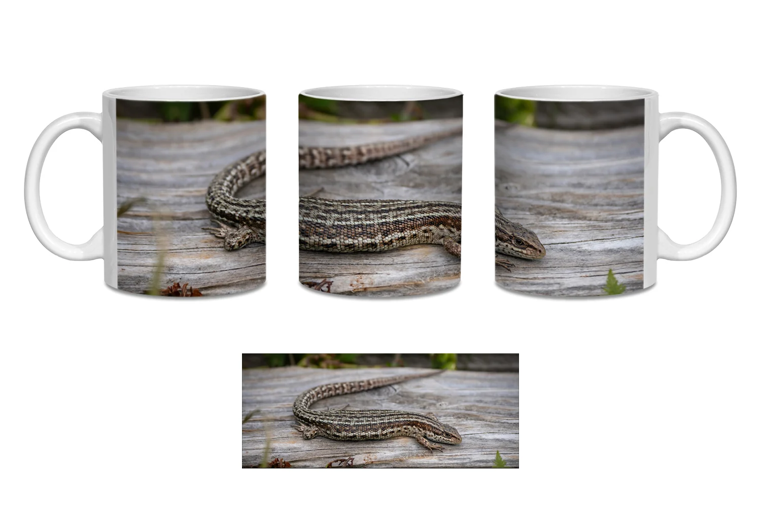 Common Lizard  Coffee Mugs