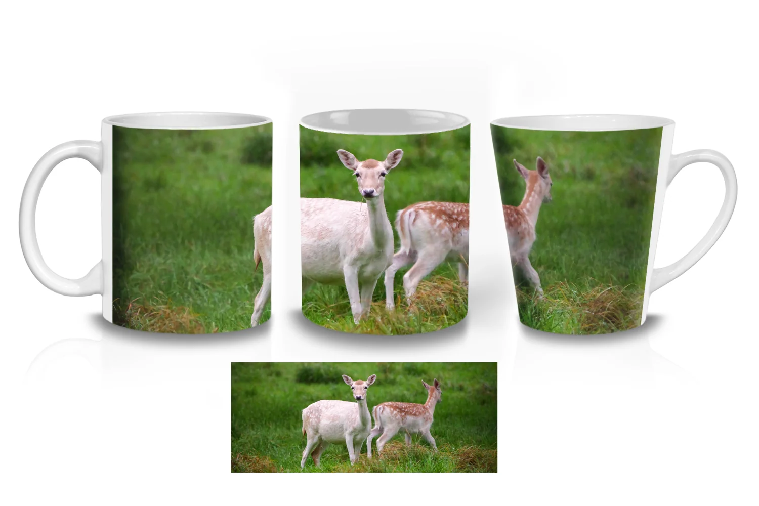 Fallow Deer  Coffee Mugs