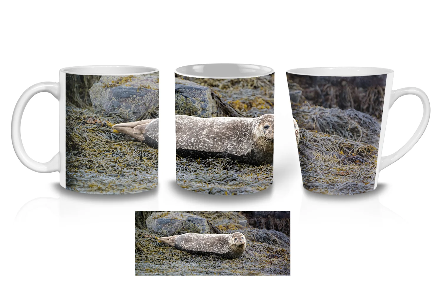 Relaxing Harbour Seal Coffee Mugs