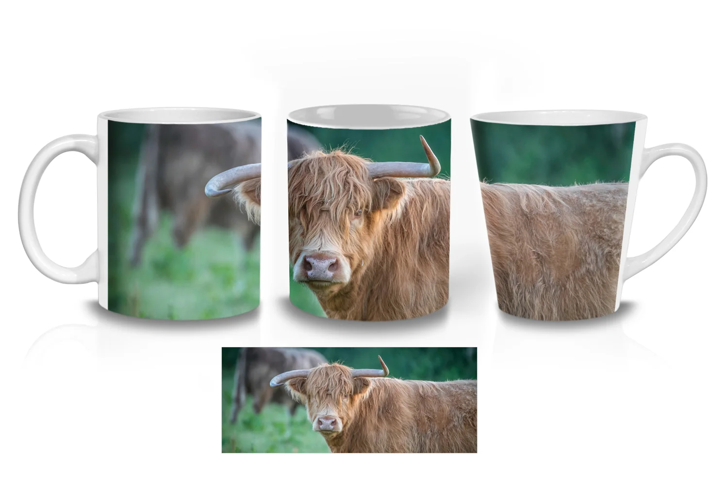 Highland Cows Coffee Mugs