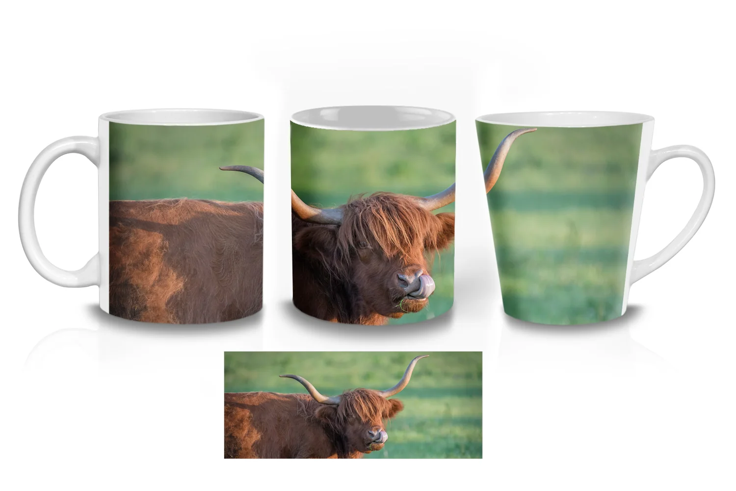 Highland Cows Coffee Mugs