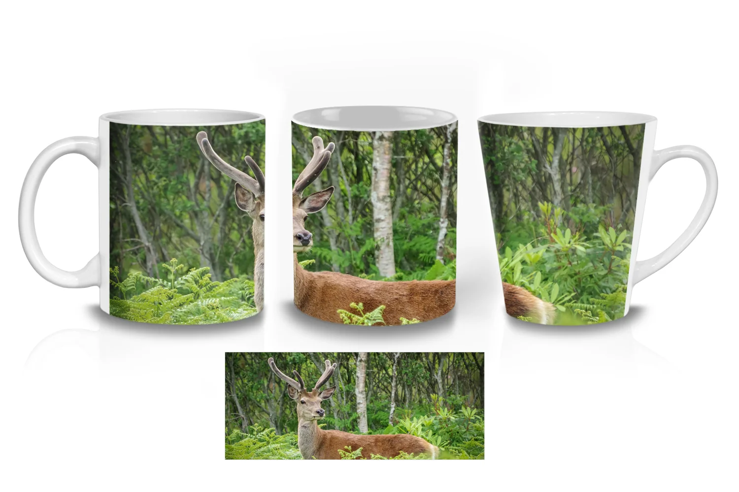 Red Deer Stag  Coffee Mugs