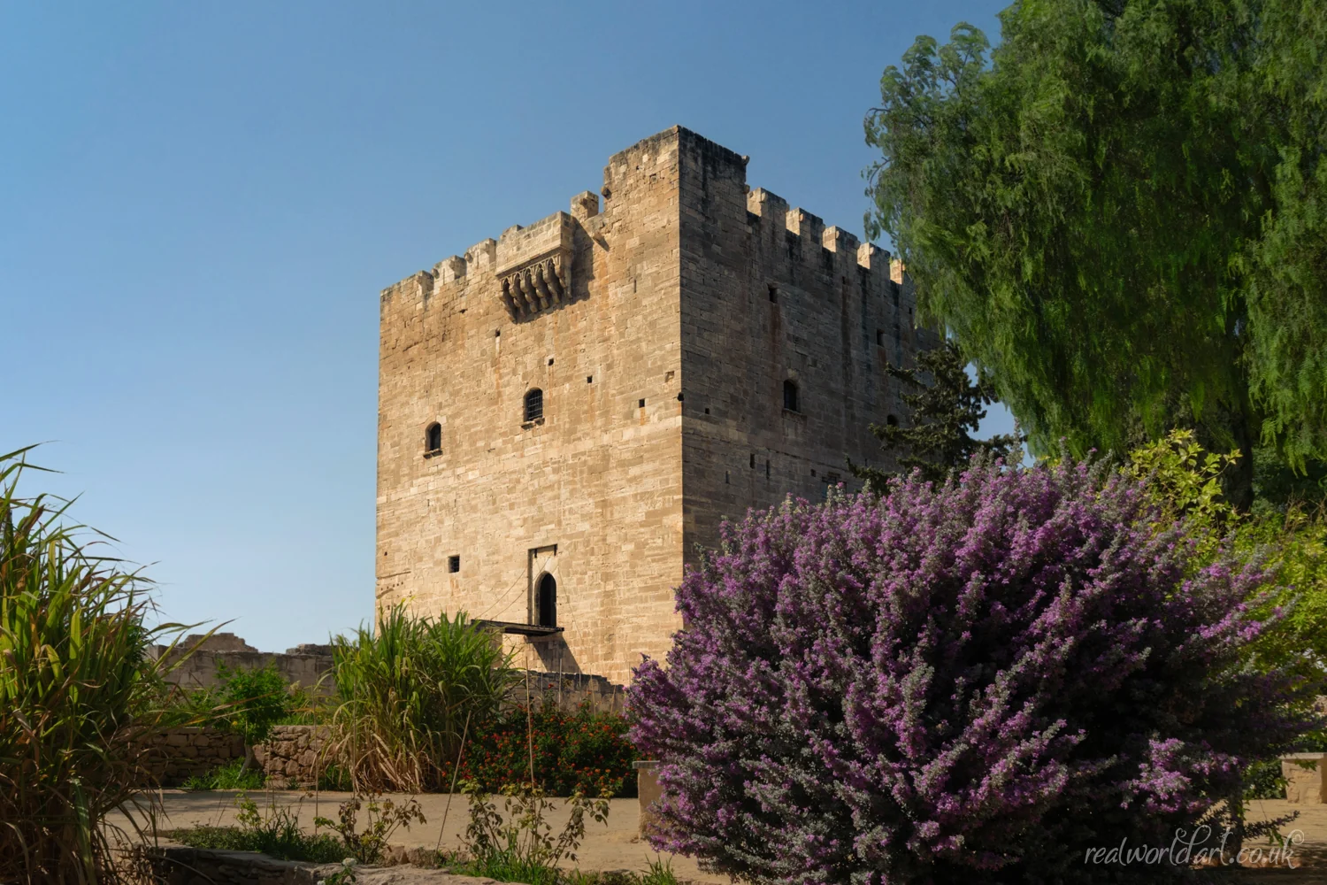 Art Prints: A medieval stone castle tower surrounded by gardens and flowering shrubs under a clear blue sky taken at Kolossi Castle, Kolossi, Cyprus 
