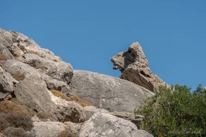 Agia Agathi Dog Rock Art Prints