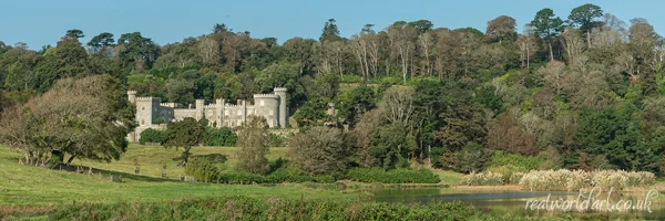 Caerhays Castle Panoramic Art Prints