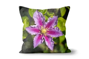 Pink Clematis Piilu Scatter Cushions