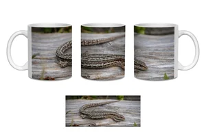 Common Lizard Coffee Mugs