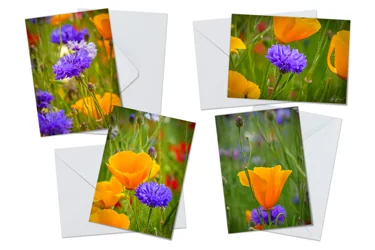 Cornflower and California Poppies Greeting Card Packs