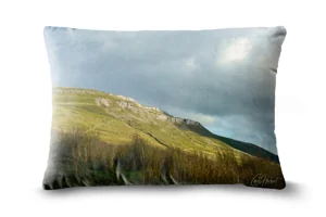 Ellerkin Scar Bolster