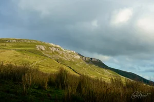 Ellerkin Scar Wall Art Prints