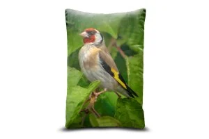 European Goldfinch Bolster