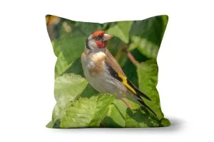 Goldfinch in a Cherry Tree Scatter Cushions