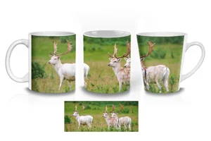White Fallow Deer Coffee Mugs