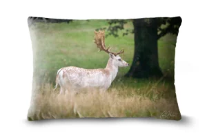 Fallow Deer Bolster