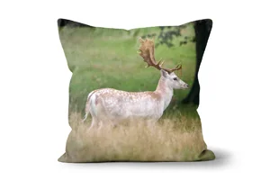 Majestic Fallow Deer Scatter Cushions