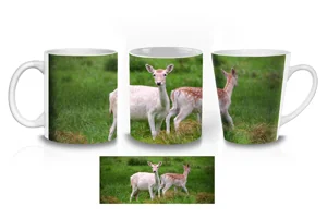 Alert Baby Fallow Deer Coffee Mugs