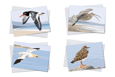 Illustrated Birds Set 2 Greeting Card Packs