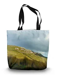 14in x 18.5in Tote Bag