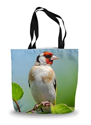 14in x 18.5in Tote Bag