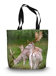 14in x 18.5in Tote Bag