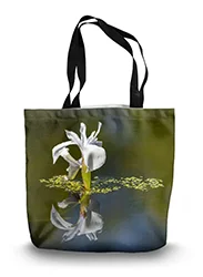 14in x 18.5in Tote Bag