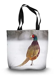 14in x 18.5in Tote Bag