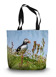 14in x 18.5in Tote Bag