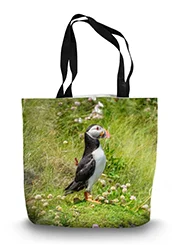 14in x 18.5in Tote Bag