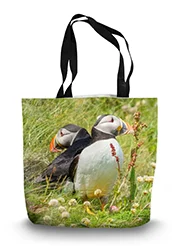 14in x 18.5in Tote Bag