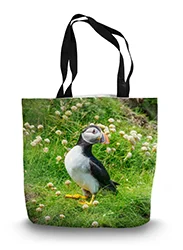 14in x 18.5in Tote Bag