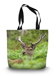 14in x 18.5in Tote Bag