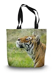 14in x 18.5in Tote Bag