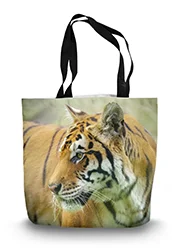 14in x 18.5in Tote Bag