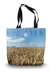 14in x 18.5in Tote Bag