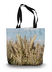 14in x 18.5in Tote Bag