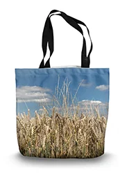 14in x 18.5in Tote Bag