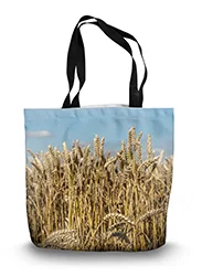 14in x 18.5in Tote Bag