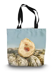 14in x 18.5in Tote Bag