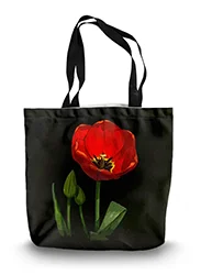14in x 18.5in Tote Bag