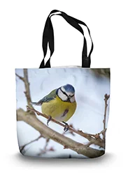 14in x 18.5in Tote Bag