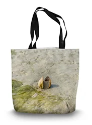14in x 18.5in Tote Bag
