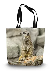 14in x 18.5in Tote Bag