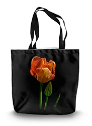14in x 18.5in Tote Bag