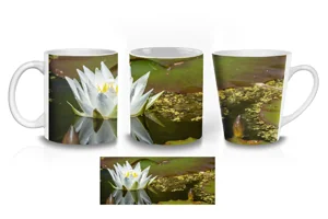Nymphaea Alba Water Lily Coffee Mugs