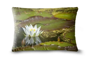 Nymphaea Alba Water Lily Bolster