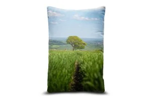 High Bradfield Wheat Field Bolster